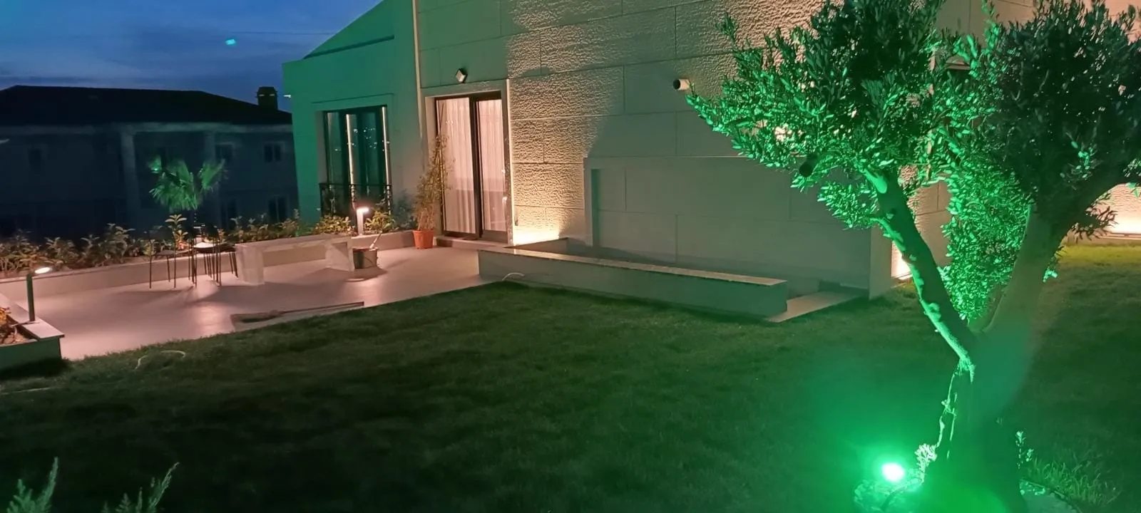 Zeytin ağacını alttan aydınlatan yeşil spot ve terasın sıcak beyaz ışığı