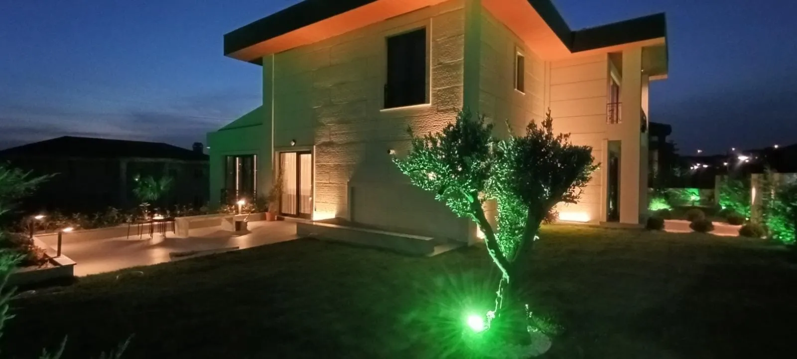 Villanın bahçe cephesi ve zeytin ağacı aydınlatması, alacakaranlık